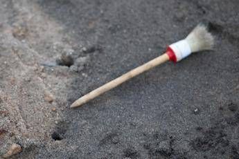Scoperto dente da latte di 48mila anni fa Scoperto dente da latte di 48mila anni fa
